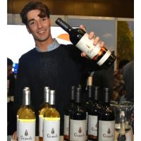 Bodega Ayestarán Allard: innovación con alma patagónica