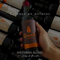 Bodega Ayestarán Allard: innovación con alma patagónica