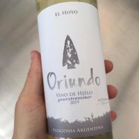 Bodega Ayestarán Allard: innovación con alma patagónica