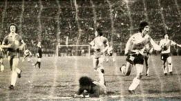 River 1975 13082025