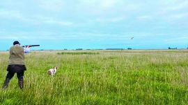 El momento más esperado: perdiz en pleno vuelo, dejándola que tome distancia para que los perdigones se desconcentren y sólo alguno le pegue, lo que permitirá que el perro haga su aporte y el cazador la lleve a la olla.