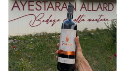 Bodega Ayestarán Allard: innovación con alma patagónica