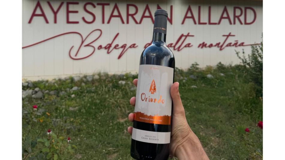 Bodega Ayestarán Allard: innovación con alma patagónica