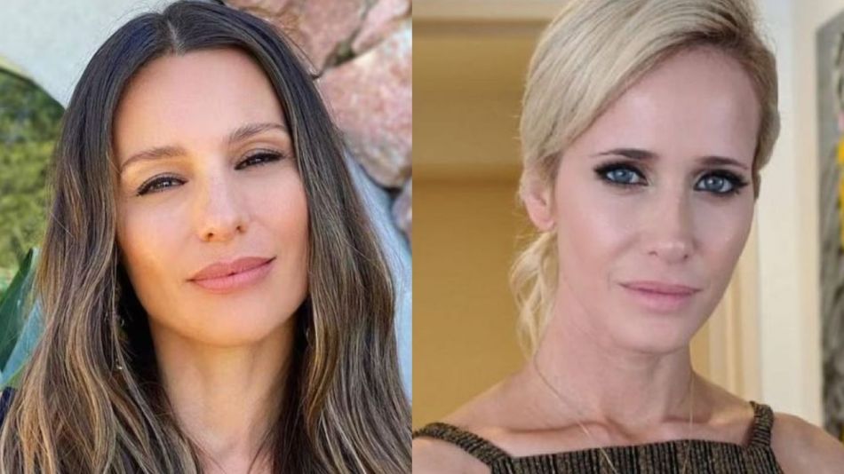 Polémica por la postura de Pampita sobre el juicio de Julieta Prandi contra  Claudio Contardi