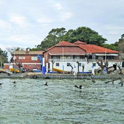El autor de la nota con uno de los buenos ejemplares capturados a lo largo de la jornada. Los mejores resultados embarcados se dieron cerca de la compuerta de Adela.