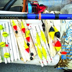 El autor de la nota con uno de los buenos ejemplares capturados a lo largo de la jornada. Los mejores resultados embarcados se dieron cerca de la compuerta de Adela.