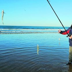 Los aparejos de una sola boya grande arriba, con brazoladas bien separadas entre sí, vienen rindiendo muy bien.En un contexto climático cambiante, la pesca se destaca más por calidad que por cantidad.
