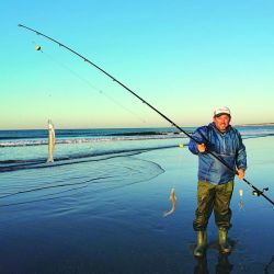 Los aparejos de una sola boya grande arriba, con brazoladas bien separadas entre sí, vienen rindiendo muy bien.En un contexto climático cambiante, la pesca se destaca más por calidad que por cantidad.
