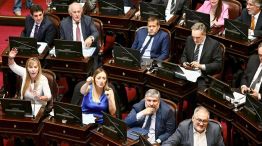 Bloque de Unión por la Patria en el Senado 