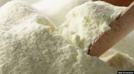 Leche en polvo