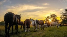 San Antonio de Areco - pueblo 