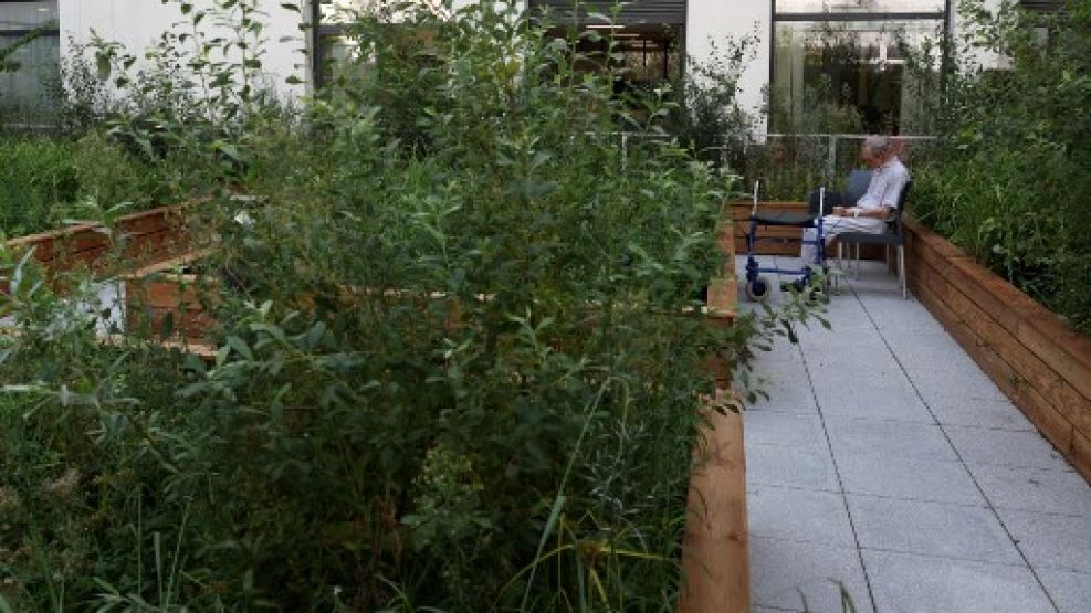 Ola de calor en Europa y la "guerra por el aire acondicionado".