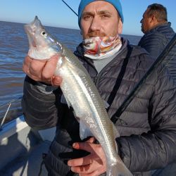 15_08_mapa_pique_pesca