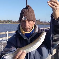 15_08_mapa_pique_pesca