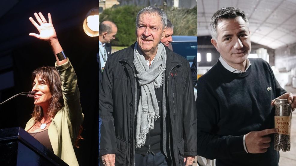 De La Sota - Schiaretti - Bornoroni