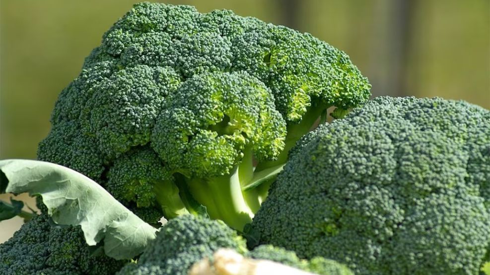 Una mujer murió tras comer un sandwich de brócoli. 