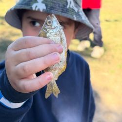 Esta valiosa iniciativa fue liderada por Pescadoras del Jaaukanigás, figura clave en la región y precursora con su innovadora escuela de pesca, la primera en el norte argentino.