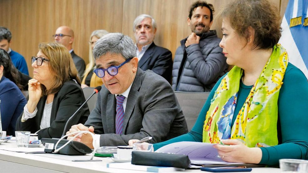 160825_yedlin-_comision_salud_diputados_g