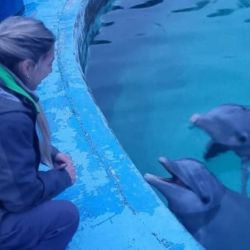 El operativo fue desplegado tras las denuncias de supuesto maltrato animal en el lugar. 