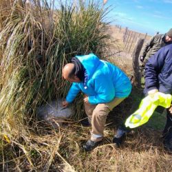 Los operativos arrojaron resultados positivos, incluyendo la identificación de pescadores furtivos, decomiso y destrucción de numerosos artes de pesca y capturas ilegales.