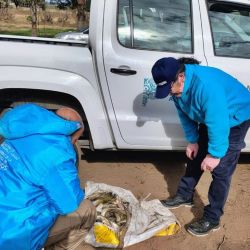 Los operativos arrojaron resultados positivos, incluyendo la identificación de pescadores furtivos, decomiso y destrucción de numerosos artes de pesca y capturas ilegales.