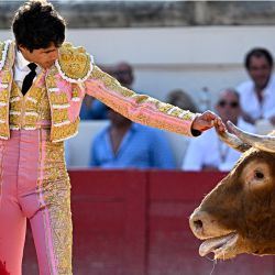 El matador francés Sébastien Castella toca el cuerno de un toro de lidia durante la Feria de Béziers, en Béziers, sur de Francia. | Foto:GABRIEL BOUYS / AFP