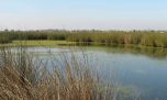 Aves Argentinas y la Reserva Achalay firmaron un acuerdo clave para proteger al Delta del Paraná