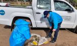 Operativos de control en lagunas de Guaminí y Trenque Lauquen
