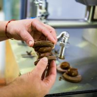 Alfajores La Linqueña: Tradición artesanal y sabor innovador