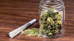 Tras la legalización del cannabis en Canadá, se disparan los casos de esquizofrenia.