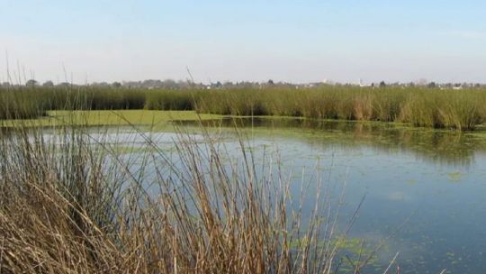 Aves Argentinas y la Reserva Achalay firmaron un acuerdo clave para proteger al Delta del Paraná