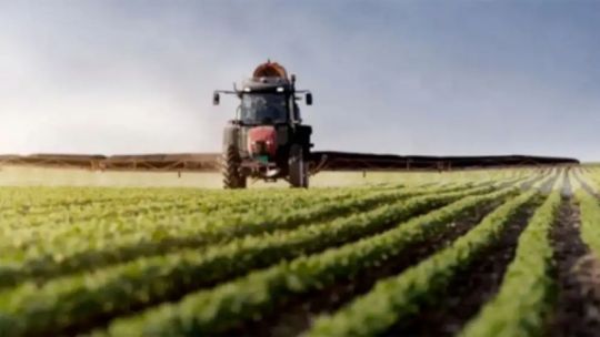 El campo liquidó 25% menos de divisas en agosto: ¿Cuánto se espera que exporte en el último trimestre?