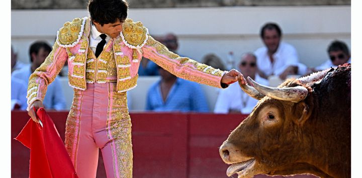 El matador francés Sébastien Castella toca el cuerno de un toro de lidia durante la Feria de Béziers, en Béziers, sur de Francia.