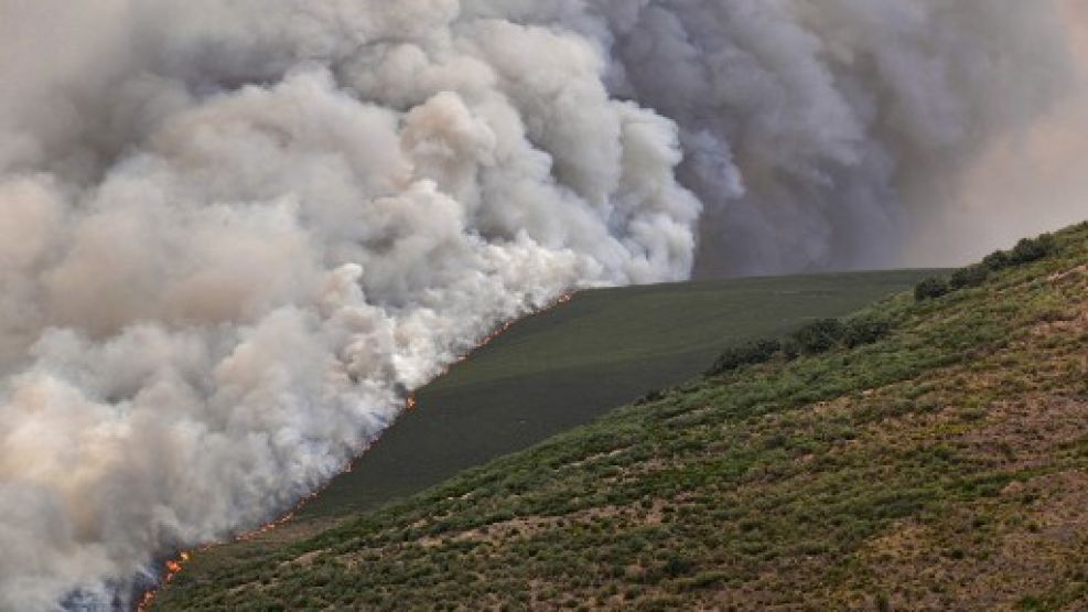 Aumenta el número de muertos por los incendios forestales en el sur de Europa.
