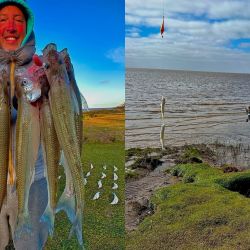 Actualmente, los intentos no deben ser lejanos, ya que el pique se acerca, entre los 40 y 50 m. Podemos meter dobletes y la calidad se mezcla.