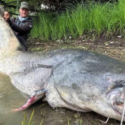El embalse de Vranov es reconocido por su biodiversidad y condiciones ideales para la pesca (@jakubvagner_official/Instagram)
