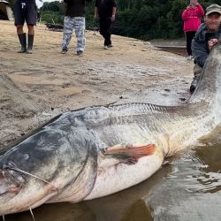 El embalse de Vranov es reconocido por su biodiversidad y condiciones ideales para la pesca (@jakubvagner_official/Instagram)