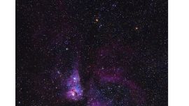 Mhoni Vidente lanza predicción para Leo en el "mes del infinito", y establece el 21 de agosto como clave