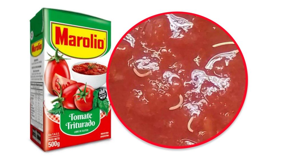 pure de tomate 19082025