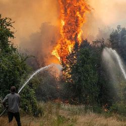  Greenpeace reclama más prevención, brigadistas e infraestructura para respuesta rápida, y penalizar tanto incendios como desmontes.