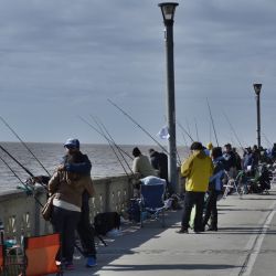 La pesca no es solo un deporte, sino una actividad recreativa saludable que fomenta la conexión intergeneracional y fortalece los lazos de amistad, especialmente valiosa para personas mayores. 