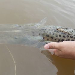 La pesca no es solo un deporte, sino una actividad recreativa saludable que fomenta la conexión intergeneracional y fortalece los lazos de amistad, especialmente valiosa para personas mayores. 
