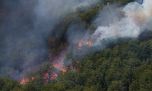 Los incendios forestales en la Patagonia cuadruplicaron su impacto en la última temporada