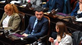 Congreso Diputados Veto 20082025