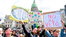 Congreso Veto Discapacidad 20082025