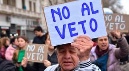 Congreso Veto Discapacidad 20082025