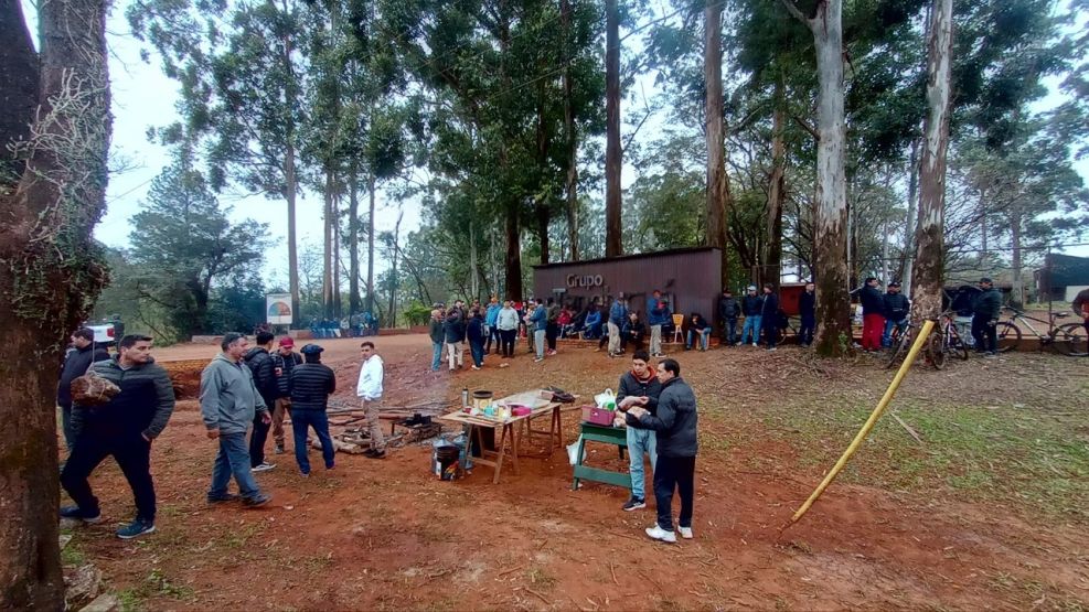 Forestadora Tapebicuá