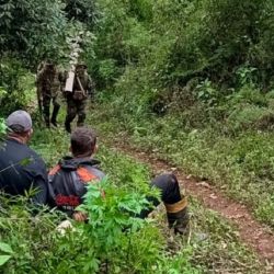 Los cazadores furtivos fueron atrapados infraganti.