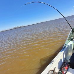 El Río de la Plata atraviesa un gran momento. Embarcados, la pesca está a punto caramelo y nos da la posibilidad de elegir y combinar diferentes técnicas.