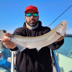 El Río de la Plata atraviesa un gran momento. Embarcados, la pesca está a punto caramelo y nos da la posibilidad de elegir y combinar diferentes técnicas.